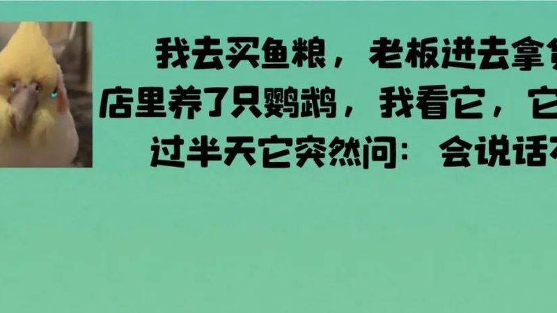 速冻食品批发市场进货流程揭秘：从源头把控品质